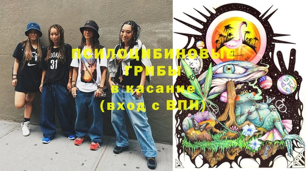 прущая мука Верея