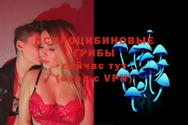 прущая мука Верея